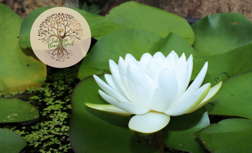 Sabryna BeautySpirit | Thérapeute Holistique & Hypnothérapeute • Toulon