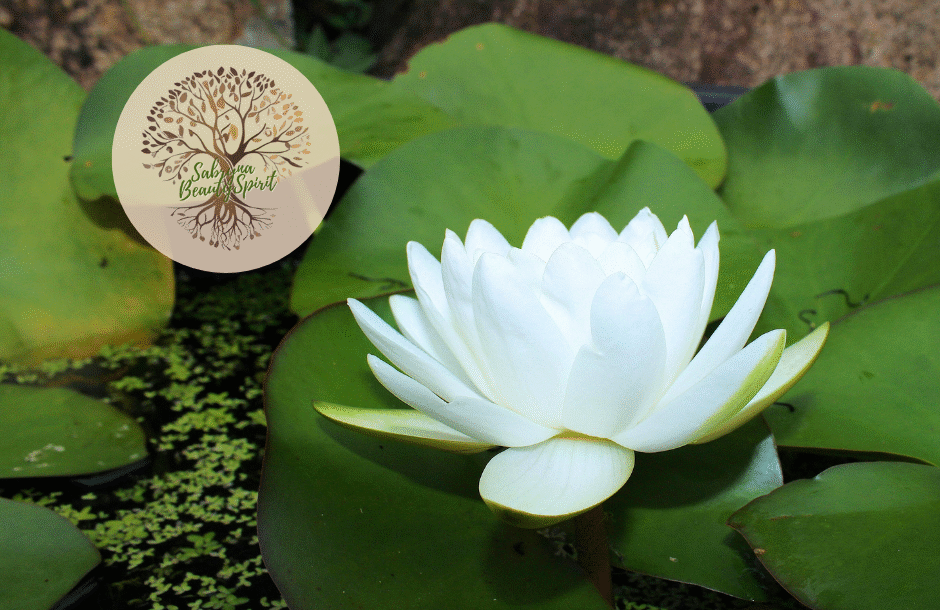 Sabryna BeautySpirit | Thérapeute Holistique & Hypnothérapeute • Toulon